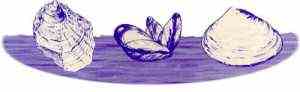 Molluscs and Crustaceous 