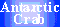 Antarctic 
Crab