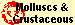Molluscs &
Crustaceous