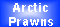 Arctic
Prawns