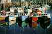 Fisheries News